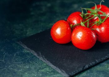 Goiás inicia período autorizado para transplantio de mudas de tomate em fevereiro 4 Goiás inicia período autorizado para transplantio de mudas de tomate em fevereiro