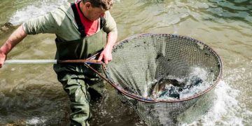Governo define novas regras para coleta de dados da atividade pesqueira