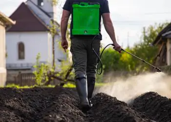 Importações de fertilizantes batem recorde e chegam a 45,5 milhões de toneladas em 2025