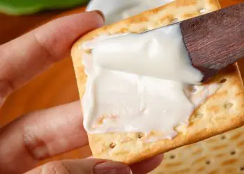 Inovação da Embrapa cria queijo vegetal simbiótico a partir da castanha de caju
