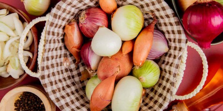 Mercado aponta estabilidade nos preços da laranja e da maçã no fim de 2025 1 Mercado aponta estabilidade nos preços da laranja e da maçã no fim de 2025