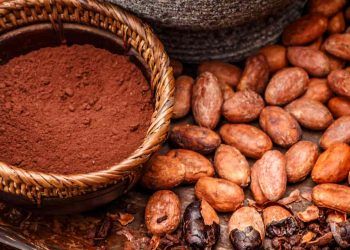 Moagem de cacau cai 14,6% em 2025 enquanto consumo interno recua 18,4%
