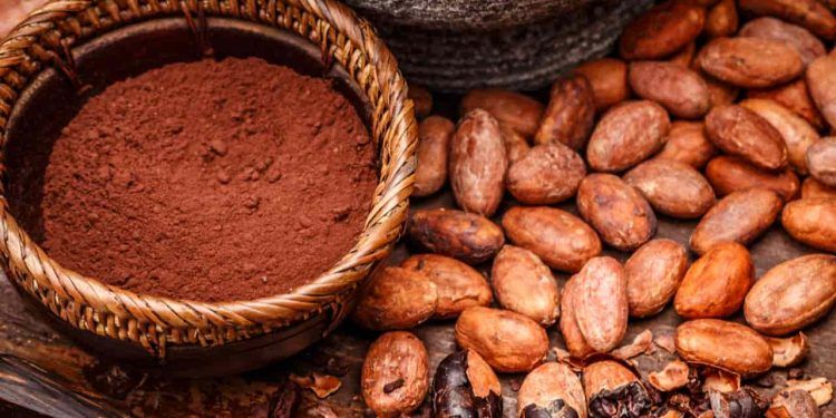 Moagem de cacau cai 14,6% em 2025 enquanto consumo interno recua 18,4% 1 Moagem de cacau cai 14,6% em 2025 enquanto consumo interno recua 18,4%