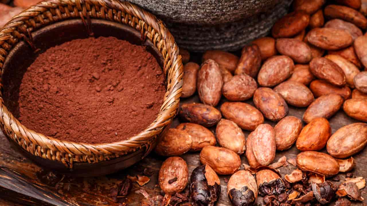 Moagem de cacau cai 14,6% em 2025 enquanto consumo interno recua 18,4%