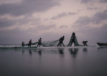 Pagamento do seguro-defeso para pescadores iniciará na 2° quinzena de fevereiro