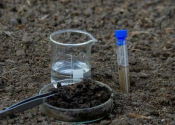 Pesquisa analisa impacto do mercúrio em terras indígenas no sul do Pará