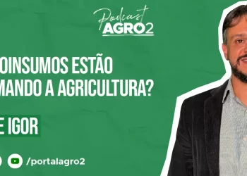 Podcast com Alexandre Igor