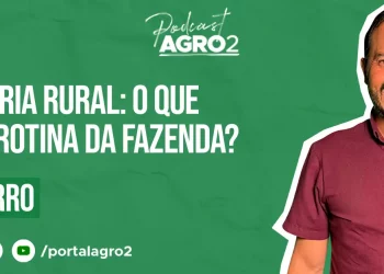 Podcast com Andre Ferro