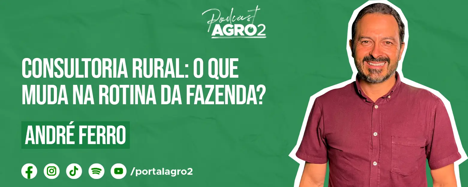 Podcast com Andre Ferro