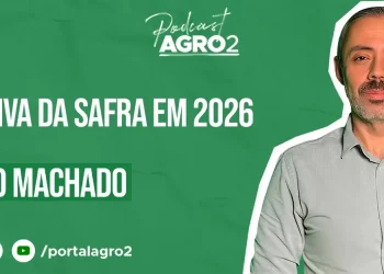 Podcast com Leonardo Machado