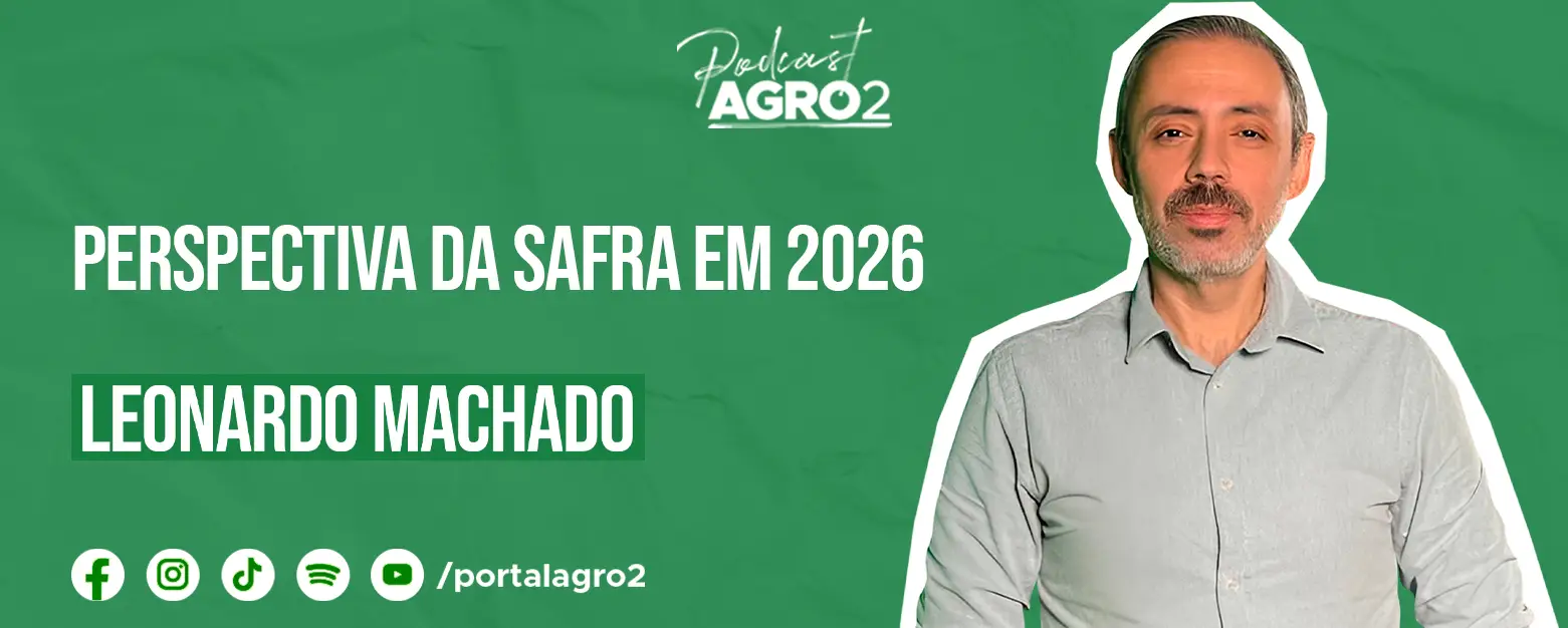 Podcast com Leonardo Machado