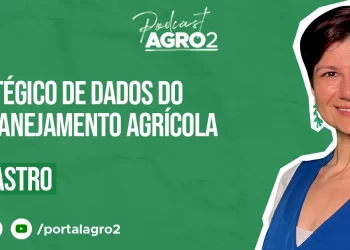 Podcast com Luciana Castro