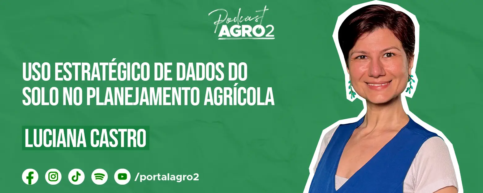 Podcast com Luciana Castro