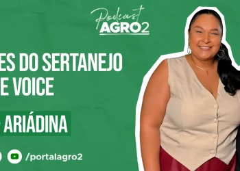 Podcast com Michele e Ariadina