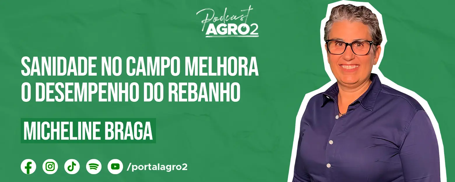 Podcast com Micheline Braga