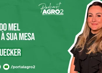 Podcast com Ursula Rauecker