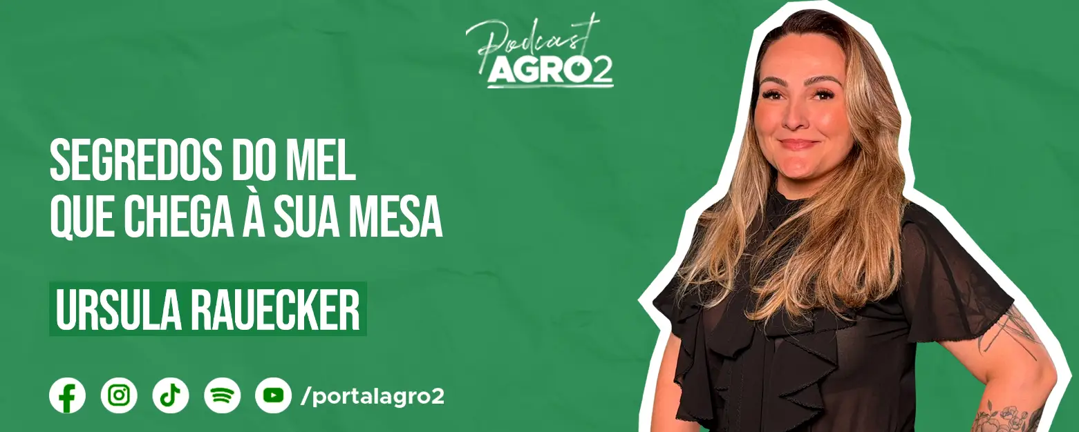 Podcast com Ursula Rauecker