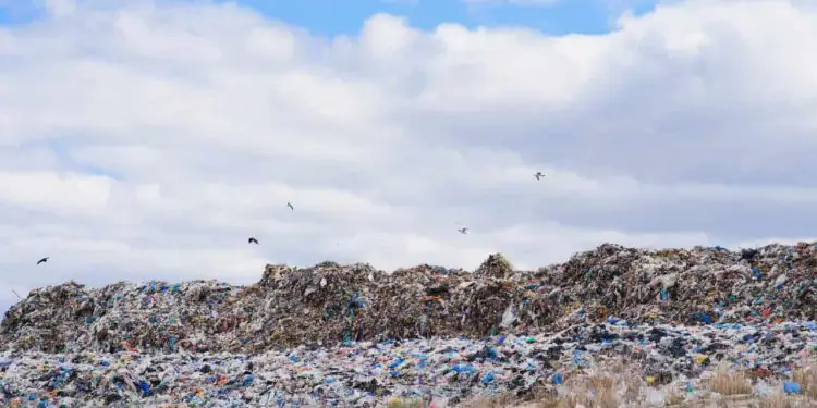 Portarias ampliam controle e transparência na gestão de resíduos sólidos no Brasil 1 Portarias ampliam controle e transparência na gestão de resíduos sólidos no Brasil