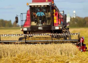 Produção de grãos brasileira deve chegar a 353,1 milhões de toneladas na safra 25/26