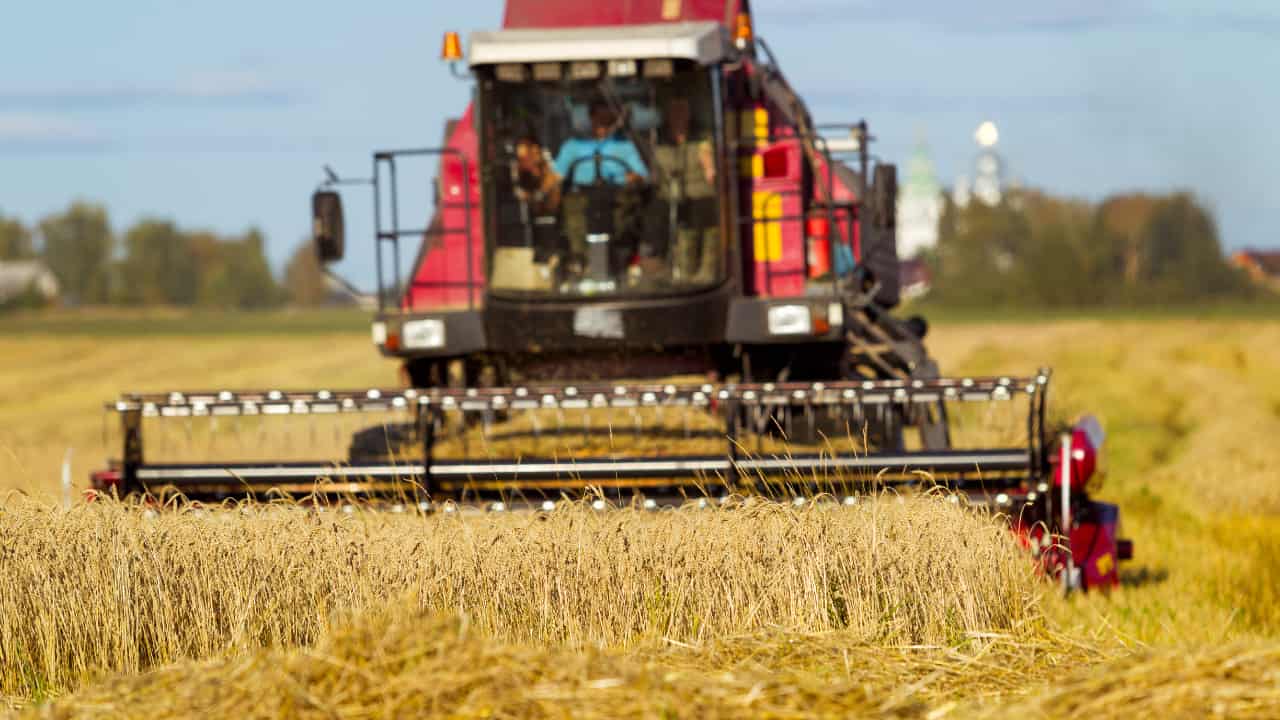 Produção de grãos brasileira deve chegar a 353,1 milhões de toneladas na safra 25/26