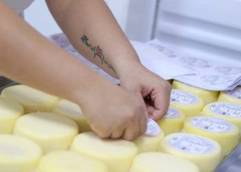 Projeto de melhoria de agroindústrias tem inscrições prorrogadas em Goiás