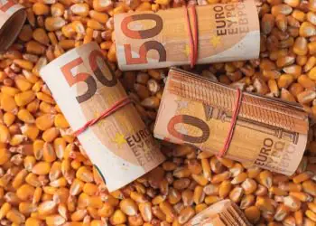 Reforma tributária muda regras da nota fiscal para o produtor rural; veja como