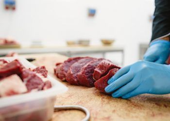 Serviço de Inspeção Federal completa 109 anos na fiscalização de produtos animais 7 Serviço de Inspeção Federal completa 109 anos na fiscalização de produtos animais