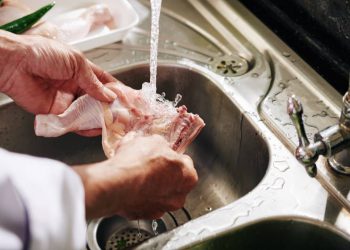 Surto de Chagas em Ananindeua reforça importância da higiene dos alimentos