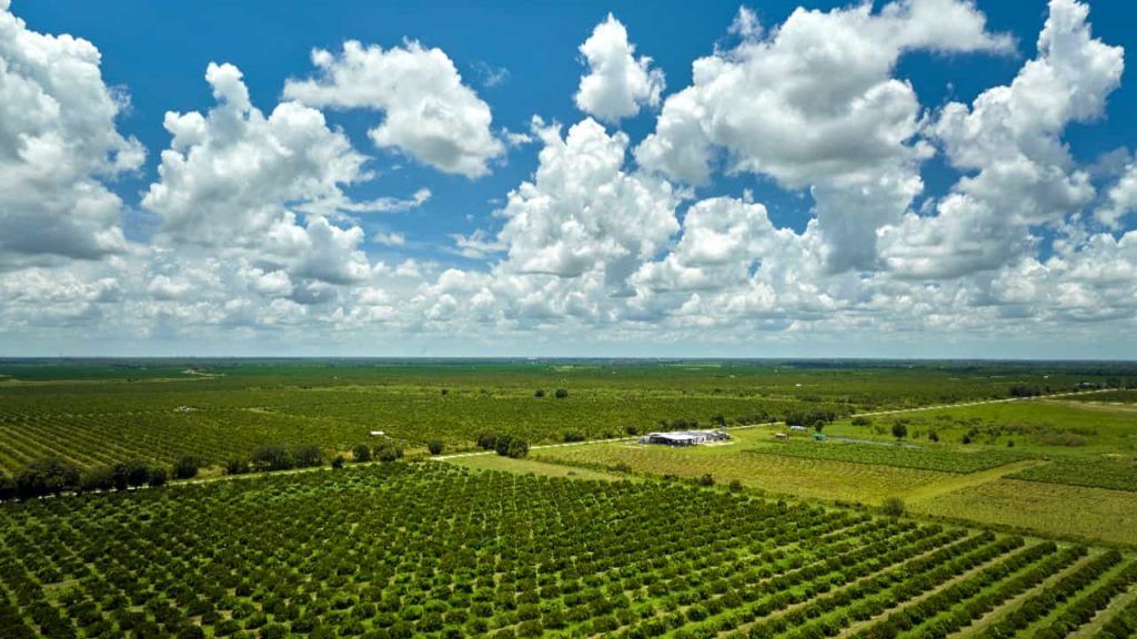 Projeto cria programa nacional para reforçar a segurança no campo 2 Impacto do tarifaço: vendas do Brasil aos EUA caem 6,6% em 2025