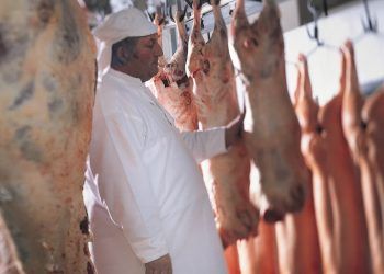 Exportações brasileiras de carne suína crescem 11,6% em 2025