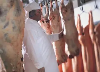 Exportações brasileiras de carne suína crescem 11,6% em 2025