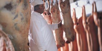 Exportações brasileiras de carne suína crescem 11,6% em 2025