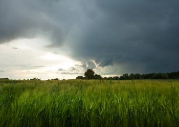 Previsão indica chuva acima da média em grande parte das regiões Norte e Sul em janeiro 6 A previsão climática para janeiro de 2026 aponta irregularidade na distribuição das chuvas em diferentes regiões do Brasil.