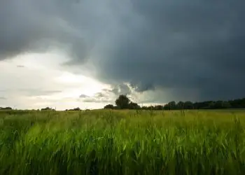 A previsão climática para janeiro de 2026 aponta irregularidade na distribuição das chuvas em diferentes regiões do Brasil.