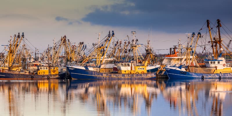 EUA exigirá certificado para produtos pesqueiros brasileiros em 2026 2 Produtos pesqueiros