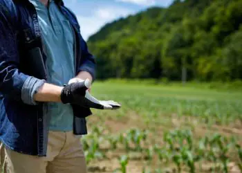 Projeto cria programa nacional para reforçar a segurança no campo