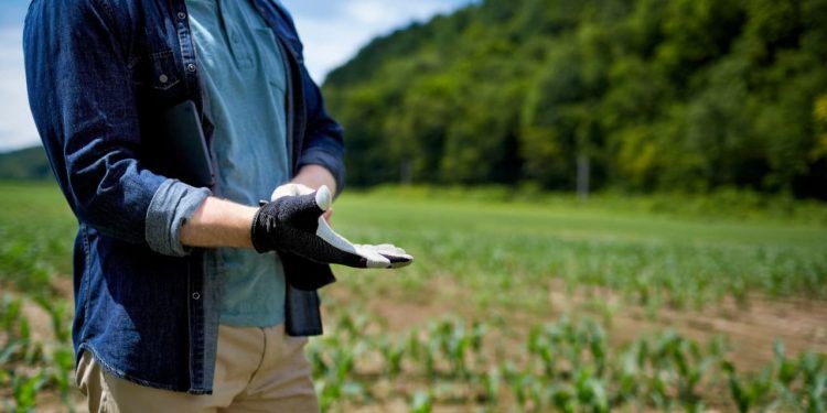 Projeto cria programa nacional para reforçar a segurança no campo 1 Projeto cria programa nacional para reforçar a segurança no campo