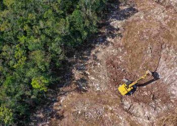 Alertas de desmatamento caem 35% na Amazônia Legal e 6% no Cerrado 6 Alertas de desmatamento caem 35% na Amazônia Legal e 6% no Cerrado