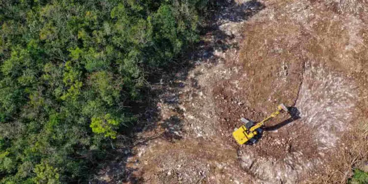 Alertas de desmatamento caem 35% na Amazônia Legal e 6% no Cerrado 1 Alertas de desmatamento caem 35% na Amazônia Legal e 6% no Cerrado