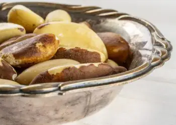 Brasil abre mercado para castanha-do-Brasil na Turquia