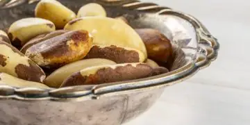 Brasil abre mercado para castanha-do-Brasil na Turquia