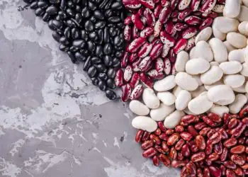 Brasil amplia produção de feijão e avança nas exportações de pulses 4 Brasil amplia produção de feijão e avança nas exportações de pulses