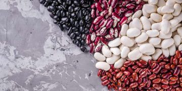 Brasil amplia produção de feijão e avança nas exportações de pulses
