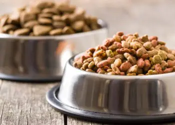 Brasil habilita 40 fábricas para exportar ração pet à Costa Rica 8 Brasil habilita 40 fábricas para exportar ração pet à Costa Rica