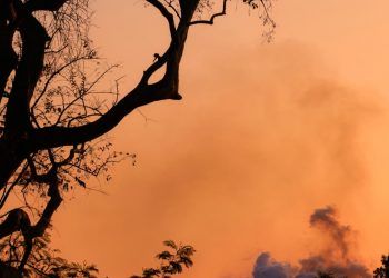 Brasil registra queda nas queimadas em janeiro com alerta para tres biomas veja quais