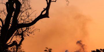 Brasil registra queda nas queimadas em janeiro, com alerta para três biomas; veja quais
