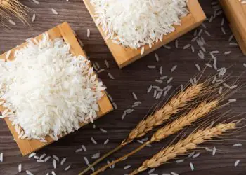 Cadeia produtiva do arroz discute queda nos preços e desafios do setor