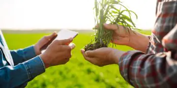 Câmara aprova garantia do FGO para ampliar crédito do Pronaf