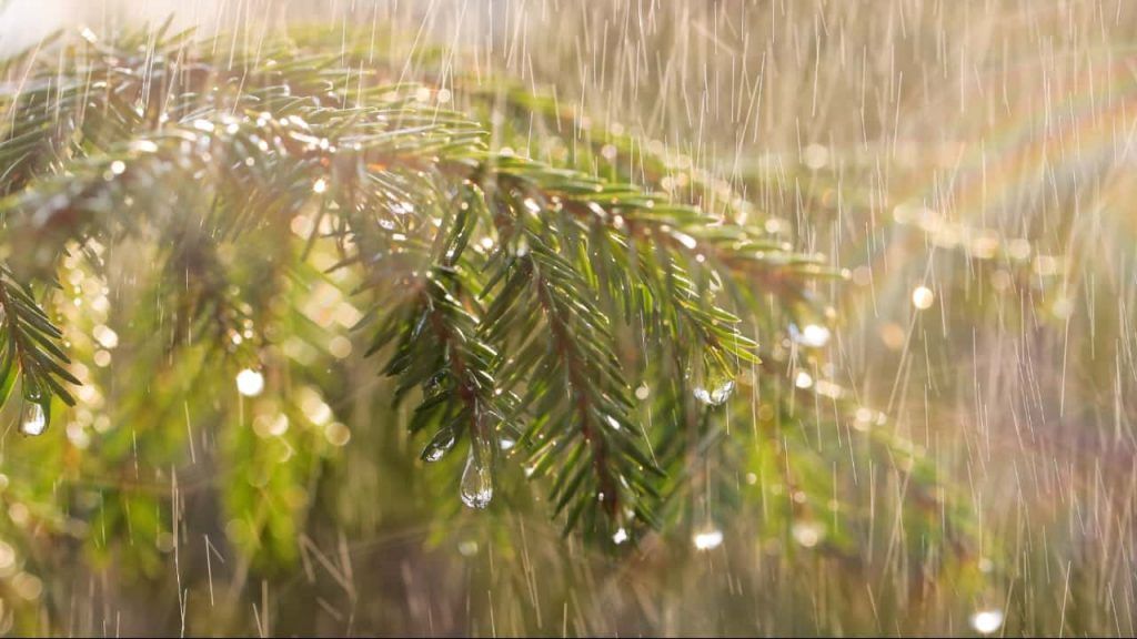 Clima em março terá chuva irregular e temperaturas acima da média no Brasil, aponta Inmet