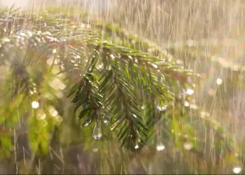 Clima em março terá chuva irregular e temperaturas acima da média no Brasil, aponta Inmet